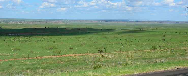 Typical Roosevelt County countryside