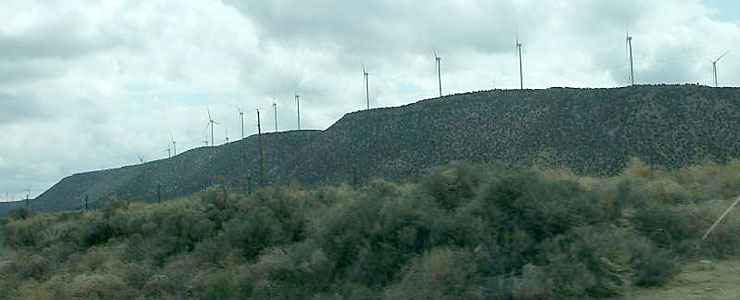 The wind farm above Willard