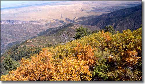 Salt Missions Trail: A view from the top of the Manzano Mountains The view from the top of the Manzano Mountains