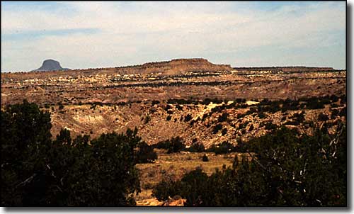 A view in Ojito Wilderness Ojito Wilderness