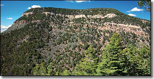 A view in Sandia Wilderness Sandia Wilderness