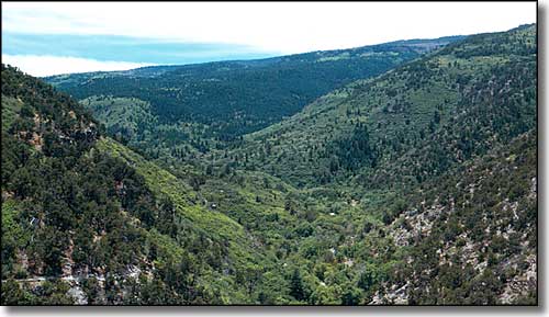 A view in Sandia Wilderness Sandia Wilderness