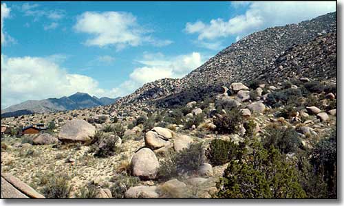 A view in Sandia Wilderness Sandia Wilderness