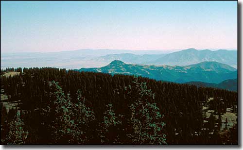 Loking out from the top of White Mountain Wilderness