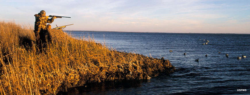 Duck hunters at Swanquarter National Wildlife Refuge