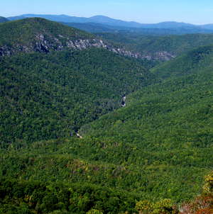 Linville Gorge from the summit of Table Rock