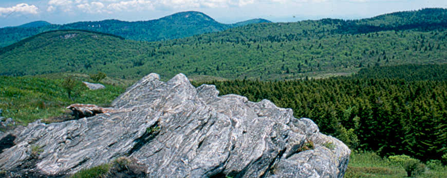 Rock, forest and hills in Shining Rock Wilderness