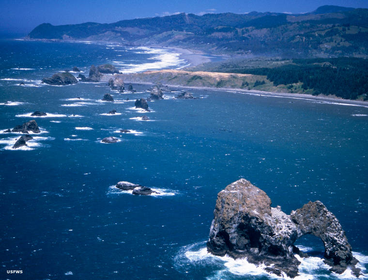 Oregon National Wilderness Areas: A view of Oregon Islands Wilderness Oregon Islands Wilderness