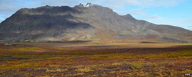 Noatak wild and Scenic River: Noatak Valley in the fall Fall in Noatak Valley
