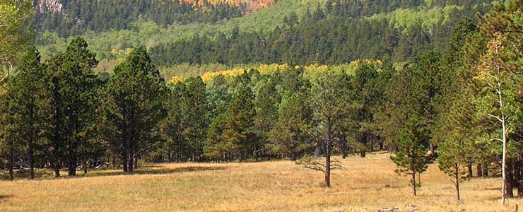 hunting sites