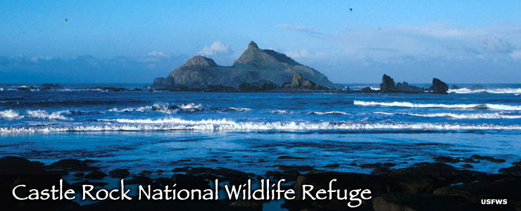 National Wildlife Refuges in California | California National Wildlife