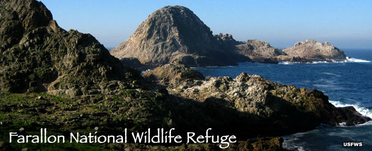 National Wildlife Refuges in California | California National Wildlife