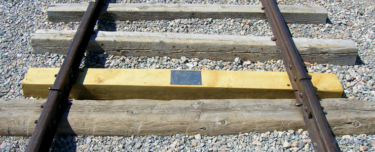golden spike golden spike