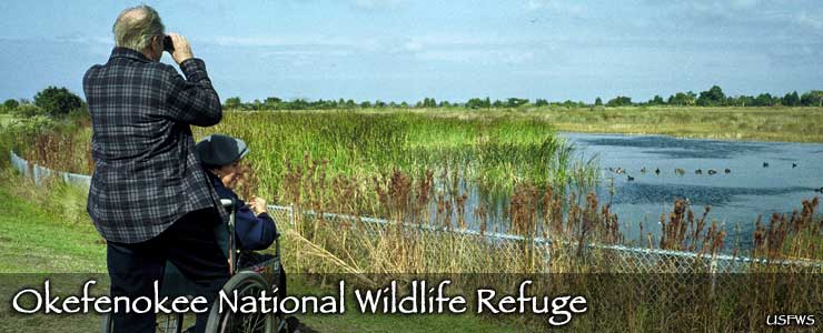 A view at Okefenokee National Wildlife Refuge Okefenokee National Wildlife Refuge