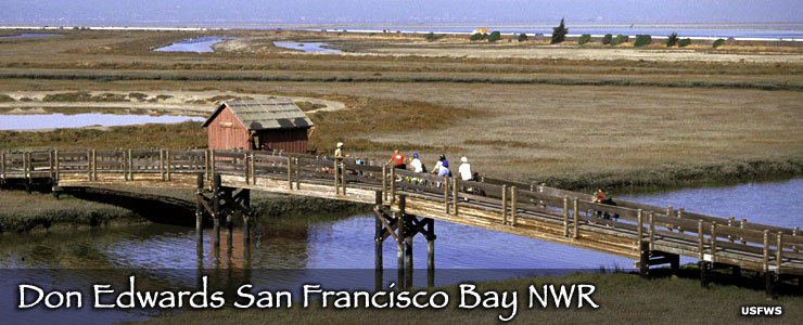 National Wildlife Refuges in California | California National Wildlife