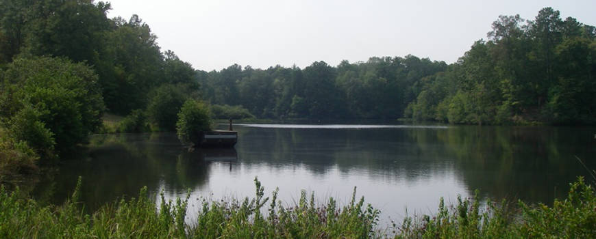 A lake view in Talladega National Forest