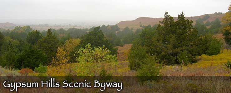Autumn colors on a foggy day along the Gypsum Hills Scenic Byway