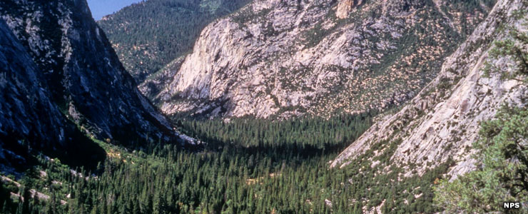 Kings Canyon National Park