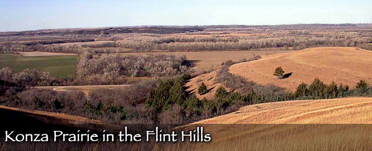 Looking over the Konza Prairie in the Flint Hills of eastern Kansas