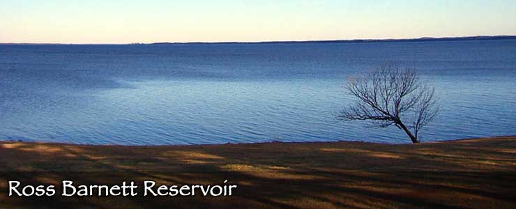 Looking acros the expanse of Ross Barnett Reservoir from the Natchez Trace Parkway