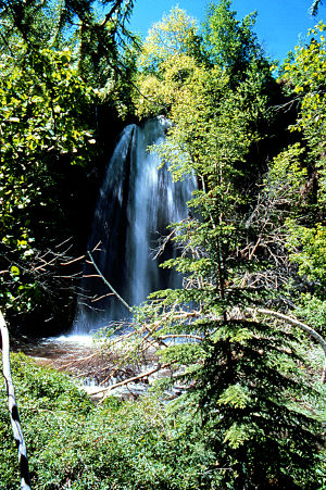 Spearfish Canyon Scenic Byway: A view of Spearfish Falls along the byway Spearfish Falls