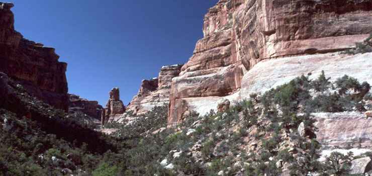 Slickhorn Canyon in Grand Gulch Wilderness Study Area