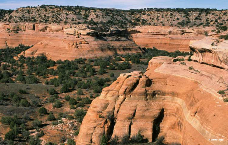 Looking toward Black Ridge Canyons Wilderness from the Pollock Bench Trailhead
