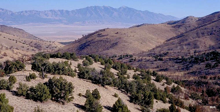 Looking east across a juniper and oak landscape with a desert valley beyond and the Stansbury Mountains beyond that