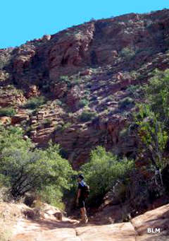 A hiker in Cottonwood Canyon Wilderness