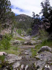 Slaughter Creek flows through the heart of Slaughter Creek Wilderness