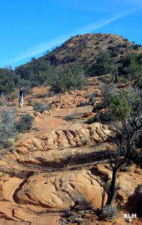 A hiker hiking in Red Mountain Wilderness