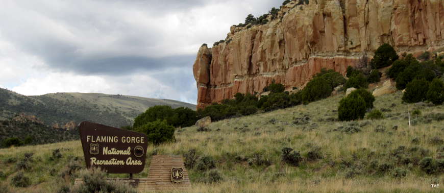 Next to a sandstone cliff is a sign marking the boundary of Flaming Gorge National Recreation Area