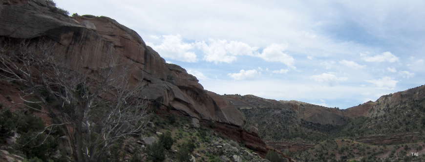 Looking up a canyon dropping beneath red rock cliffs