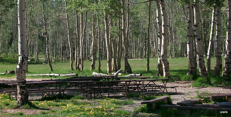 The group picnic area at Deer Haven Campground