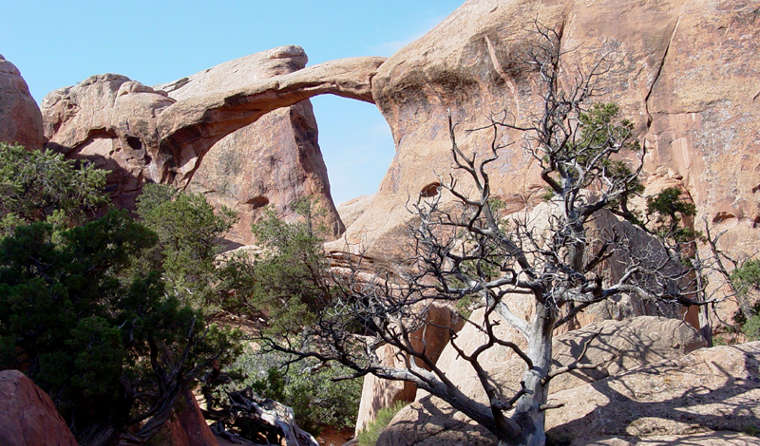 Double Arch