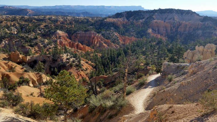 On the Fairyland Trail in the wilderness area