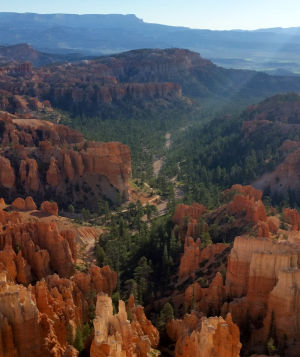 A view of the wilderness area in Bryce Canyon National Park