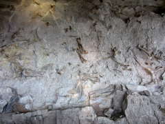 dinosaur national monument fossil wall