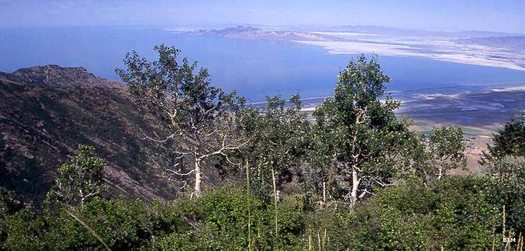 Tooele County, UT: North Stansbury Mountains Wilderness Study Area North Stansbury Mountains Wilderness Study Area