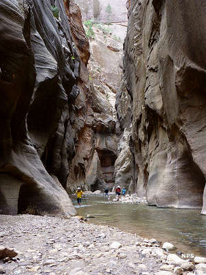 Hikers in the Narrows of Kolob Creek Canyon