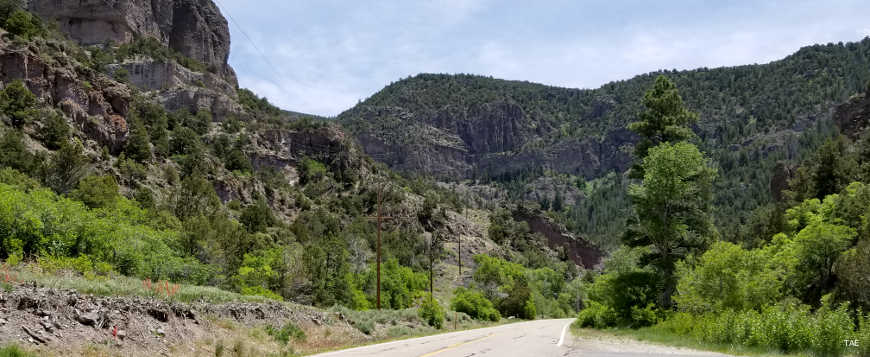 A view up the hill near the beginning of the Beaver Canyon Scenic Byway
