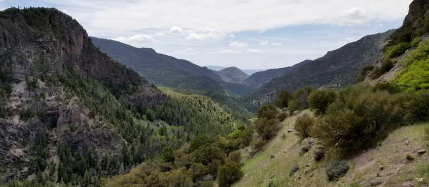 Looking down through the heavily forested and deeply carved Beaver Canyon