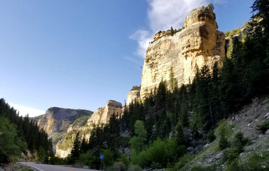 View of the sandstone cliffs rising above the scenic byway in Cedar Canyon