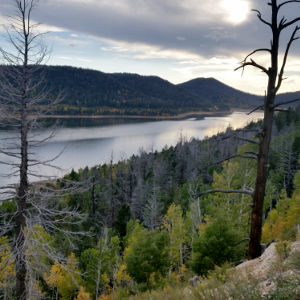 Navajo Lake