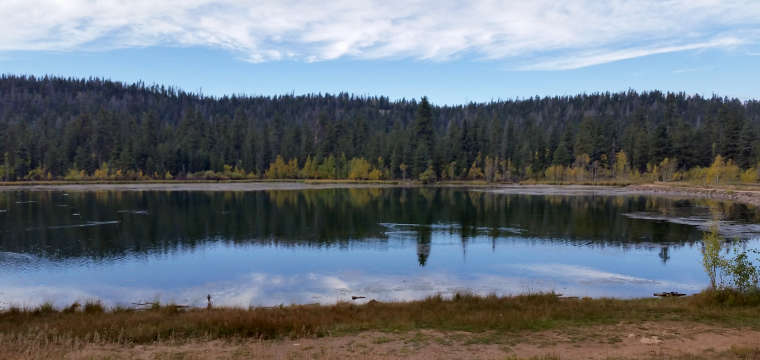 A pond just off the road