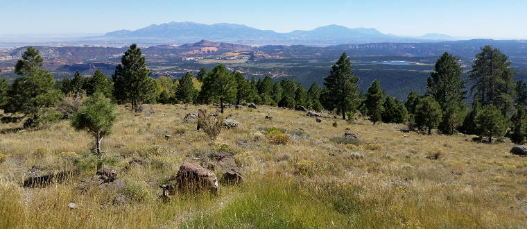 Looking east from Boulder Mountain