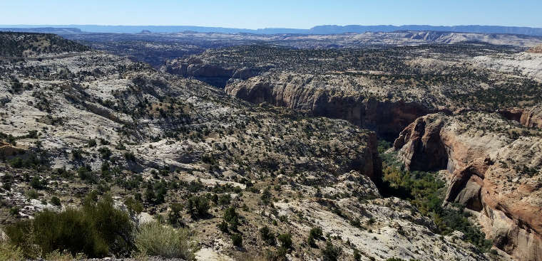 A view into Calf Creek Canyon