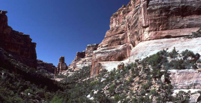 Slickhorn Canyon in the Grand Gulch Wilderness Study Area