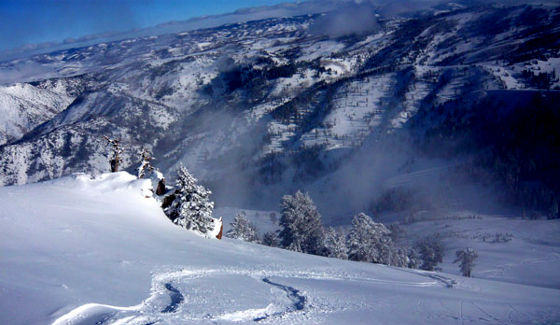 A view of Utah's famous champagne powder snow Utah's famous champagne powder