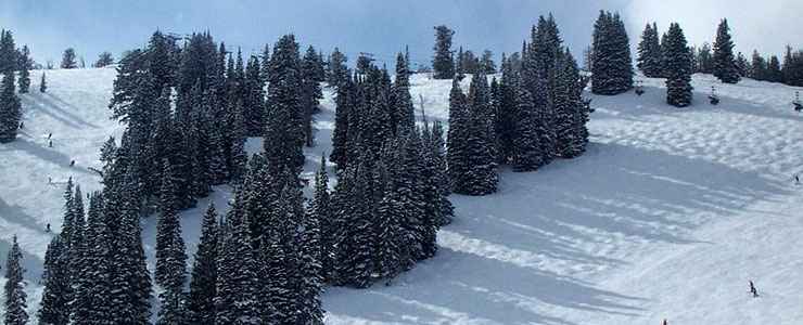 Solitude Mountain Resort: A view on the lower slopes On the lower slopes of Solitude Mountain Resort